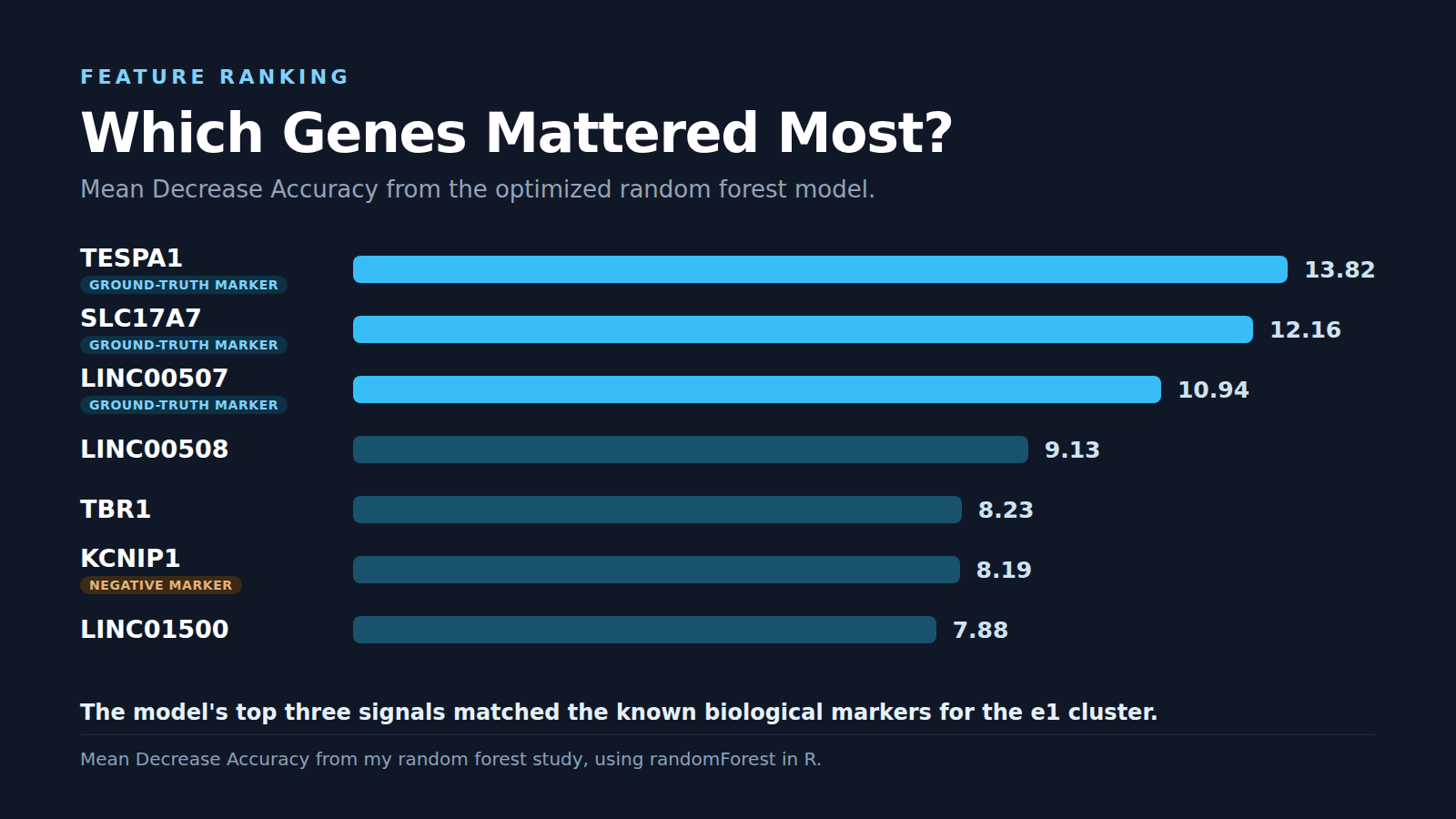 Feature ranking with the top marker genes highlighted